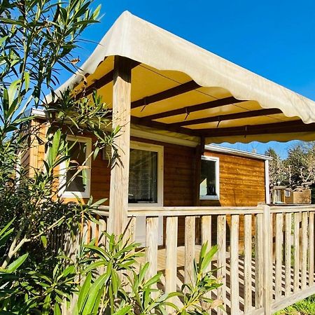 Amelia Camping Amélie-les-Bains-Palalda Eksteriør bilde