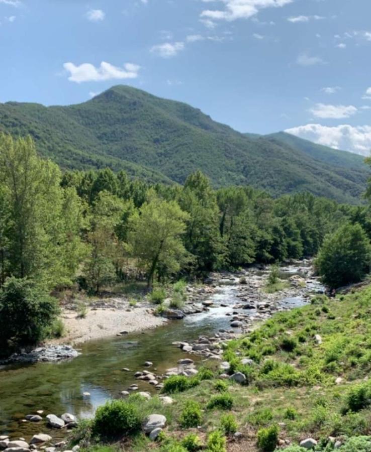 Amelia Camping Amélie-les-Bains-Palalda Eksteriør bilde